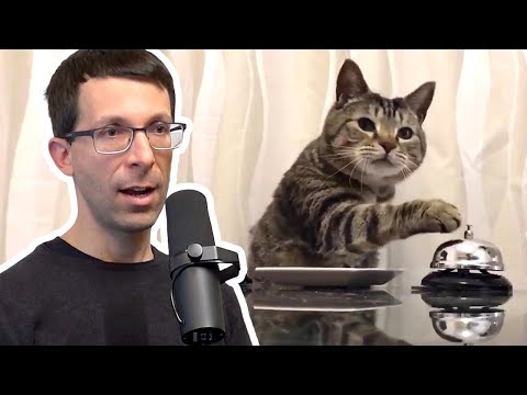 David Silver眼中的深度强化学习：智能从行动中诞生