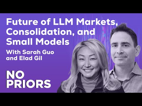 大模型是否已定局？No Priors聊到的真实竞争与风险边界