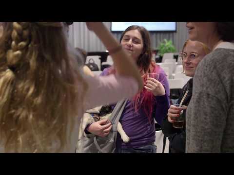 Stripe工程师在台上说清楚一件事：黑箱模型并不可怕，可怕的是你不解释