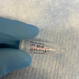 雅各布·乌什科雷特